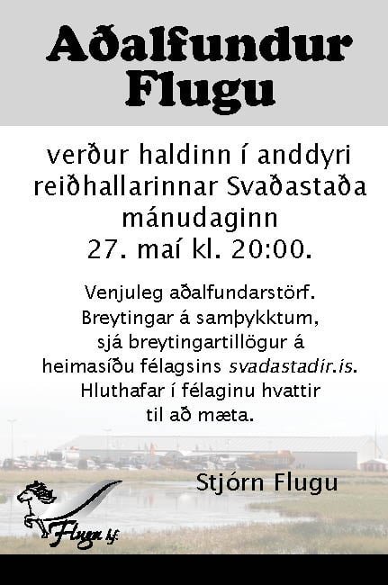 Aðalfundur Flugu hf.