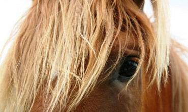 Verðskrá á kortum